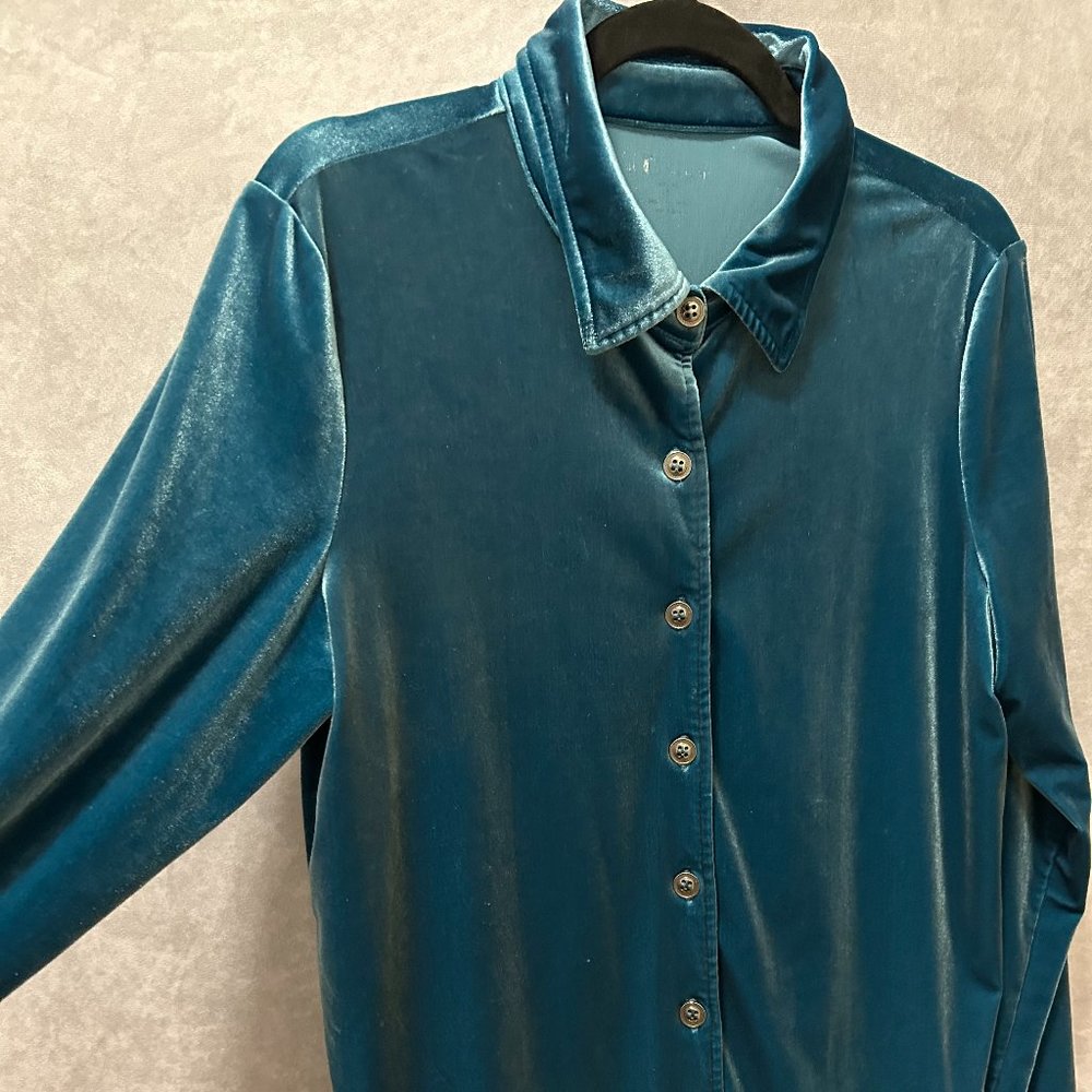 Vintage Blue Velvet Button Up